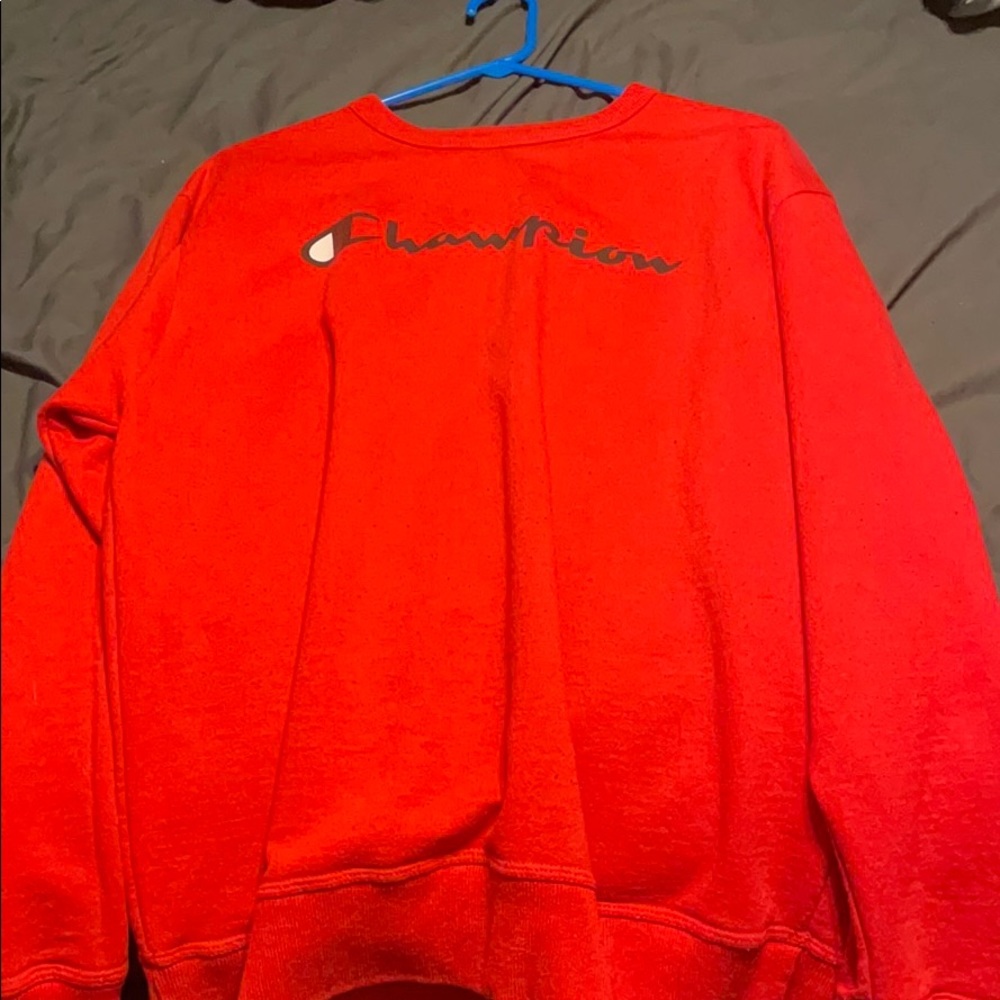 Champion Pullover - image 1